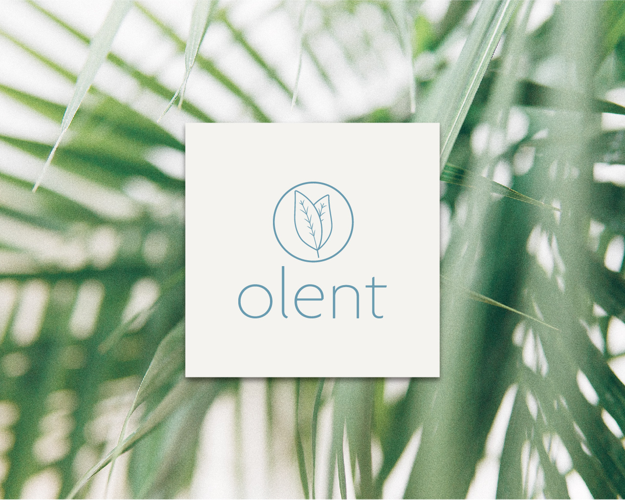 Logo designed for olent